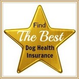 coccidia in puppies home treatment coccidiosis in dogs coccidia symptoms treatment prevention coccidia in puppies home treatment coccidiosis in dogs coccidia symptoms treatment prevention