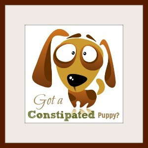 constipated puppy got a constipated puppy constipated puppy got a constipated puppy