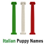 italian puppy names popular names there s something for every pup italian puppy names popular names there s something for every pup