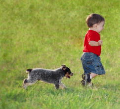 Which small dog breeds are best for children?