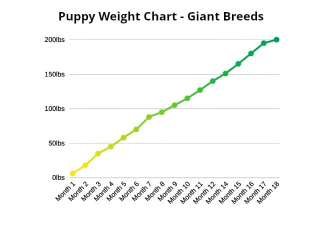 English Mastiff Weight Chart