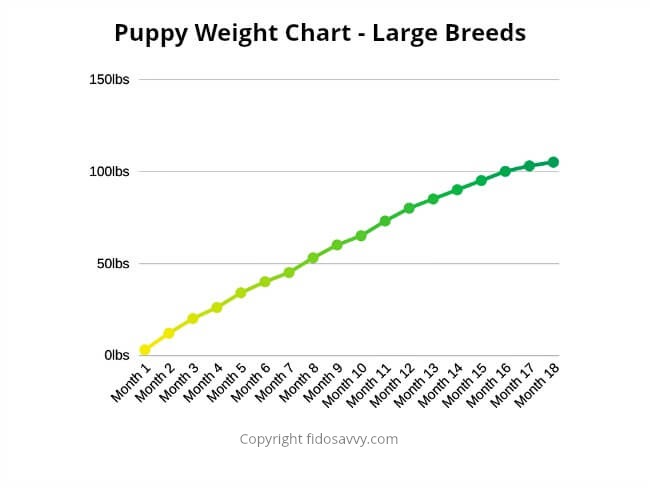 Puppy Weight Chart