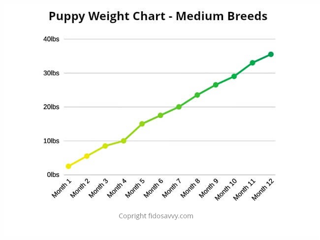 Puppy Weight Chart