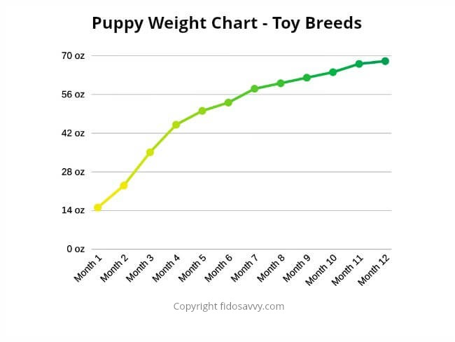 Puppy Weight Chart