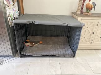 Dax_new_crate__325_c