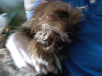 Being Held like a baby (his fav)