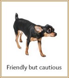 Friendly, cautious dog body language