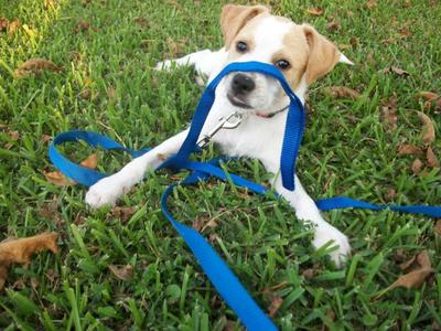 Adoption pic. I fell in love