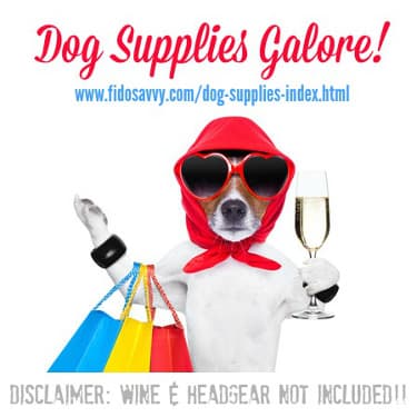 Jack Russell dog dressed up with shopping bags over arm and glass of wine Jack Russell dog dressed up with shopping bags over arm and glass of wine