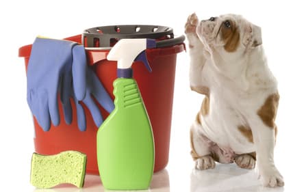 best dog cleaning products