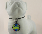 Fun & affordable resin dog id tags