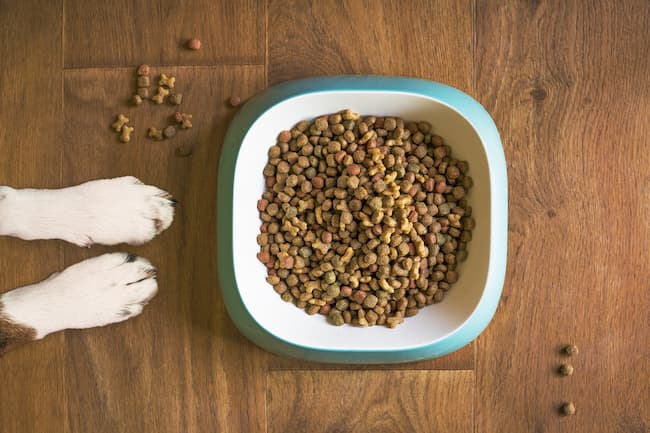 Dry dog food kibble in a bowl with dogs paws next to it Dry dog food kibble in a bowl with dogs paws next to it