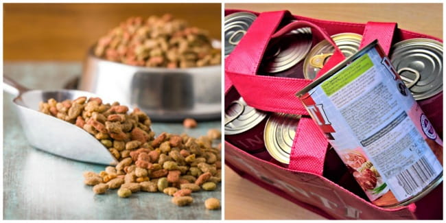Photo collage of dry and canned dog food Photo collage of dry and canned dog food