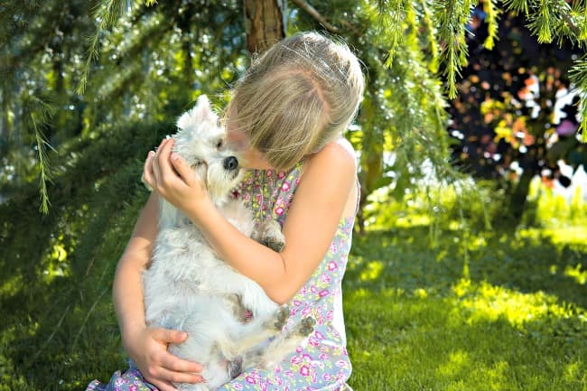 Girl hugging small white dog Girl hugging small white dog