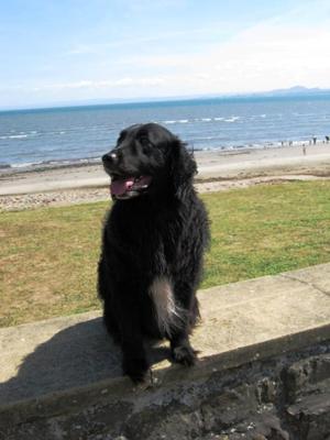 queue here for autographs...