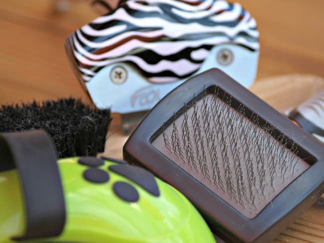 A selection of dog grooming tools