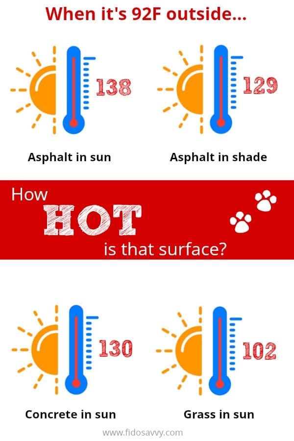 Infographic showing how hot ground temperatures can be in the summertime Infographic showing how hot ground temperatures can be in the summertime
