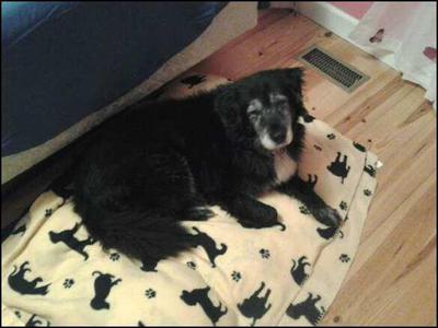 Kendall Nut Christmas 2012