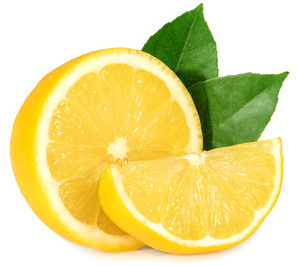 Natural flea control for dogs Natural flea control