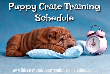 puppy housebreaking schedule