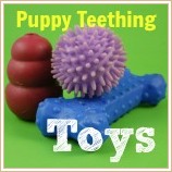 Learn how to choose puppy teething toys