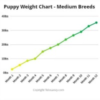Puppy Weight Chart for medium breeds copyright fidosavvy.com