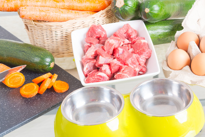 how to make raw food for dogs