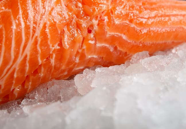Piece if raw salmon on crushed ice Piece if raw salmon on crushed ice