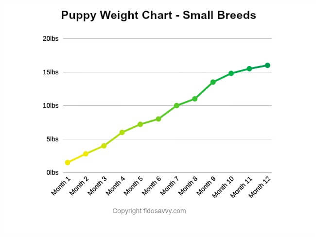 Puppy Weight Chart