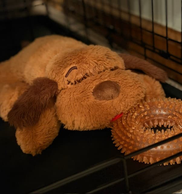 snuggle puppy snuggle puppy
