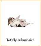 Submissive dog position