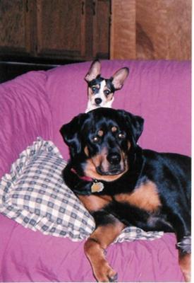 My sweet  girl Jasmine