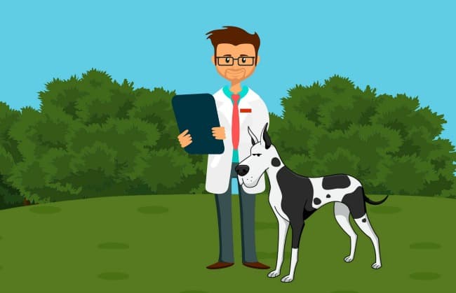 diroban heartworm treatment
