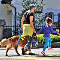 Family walking Golden Retriever