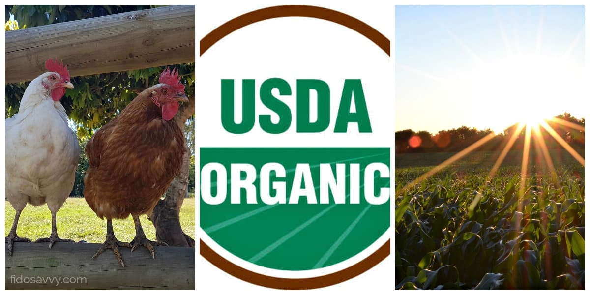 Collage showing organically raised livestock and crops plus USDA 'Certified Organic' official seal Collage showing organically raised livestock and crops plus USDA 'Certified Organic' official seal