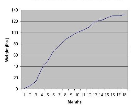 Miniature Schnauzer Weight Chart